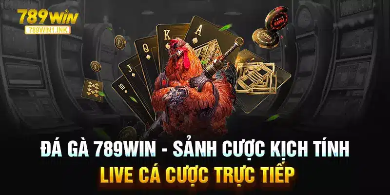 Đá Gà 789WIN - Sảnh Cược Kịch Tính | Live Cá Cược Trực Tiếp