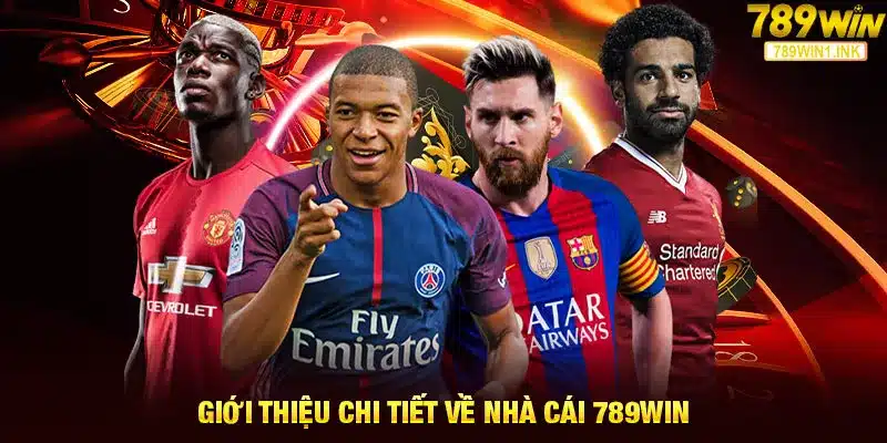 Giới thiệu chi tiết về nhà cái 789WIN