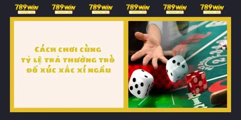 Cách chơi cùng tỷ lệ trả thưởng trò đổ xúc xắc xí ngầu