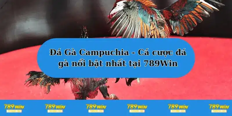 Đá Gà Campuchia - Bật Mí Địa Chỉ Cá Cược Đá Gà Uy Tín 789win