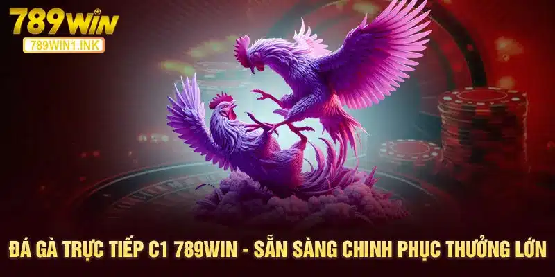 Đá Gà Trực Tiếp C1 789WIN - Sẵn Sàng Chinh Phục