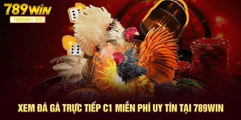 Xem đá gà trực tiếp C1 miễn phí uy tín tại 789WIN